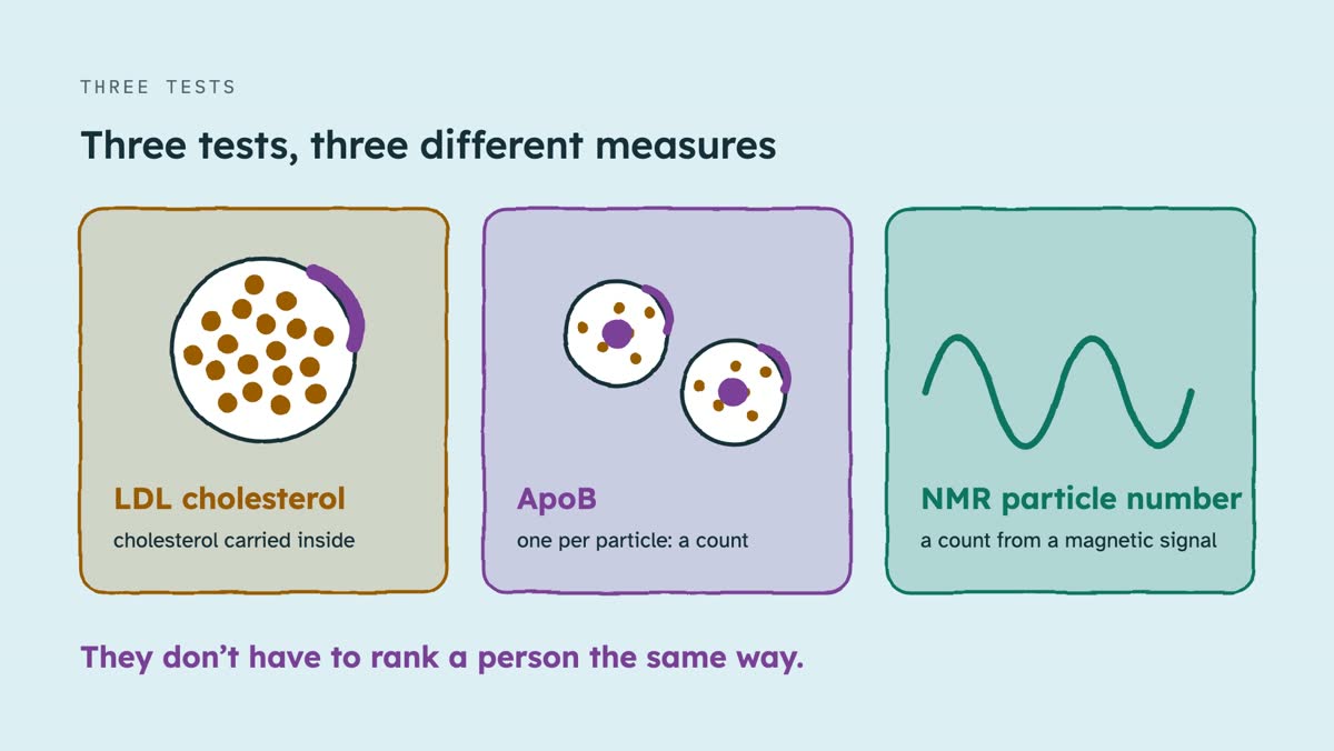 From the video: THREE TESTS, Three tests, three different measures, LDL cholesterol, cholesterol carried inside, ApoB, one per particle: a count, NMR particle number, a count from a magnetic signal, They don’t have to rank a person the same way.