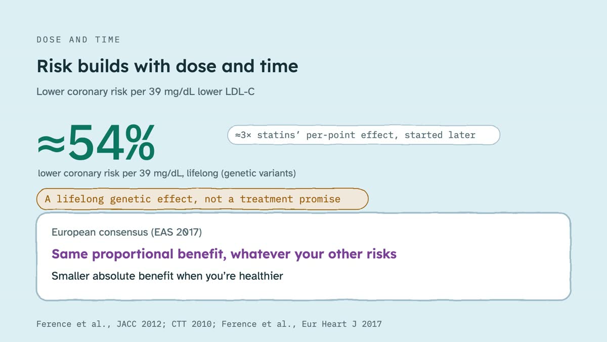From the video: DOSE AND TIME, Risk builds with dose and time, Lower coronary risk per 39 mg/dL lower LDL-C, ≈54%, lower coronary risk per 39 mg/dL, lifelong (genetic variants), ≈3× statins’ per-point effect, started later, A lifelong genetic effect, not a treatment promise, European consensus (EAS 2017), Same proporti