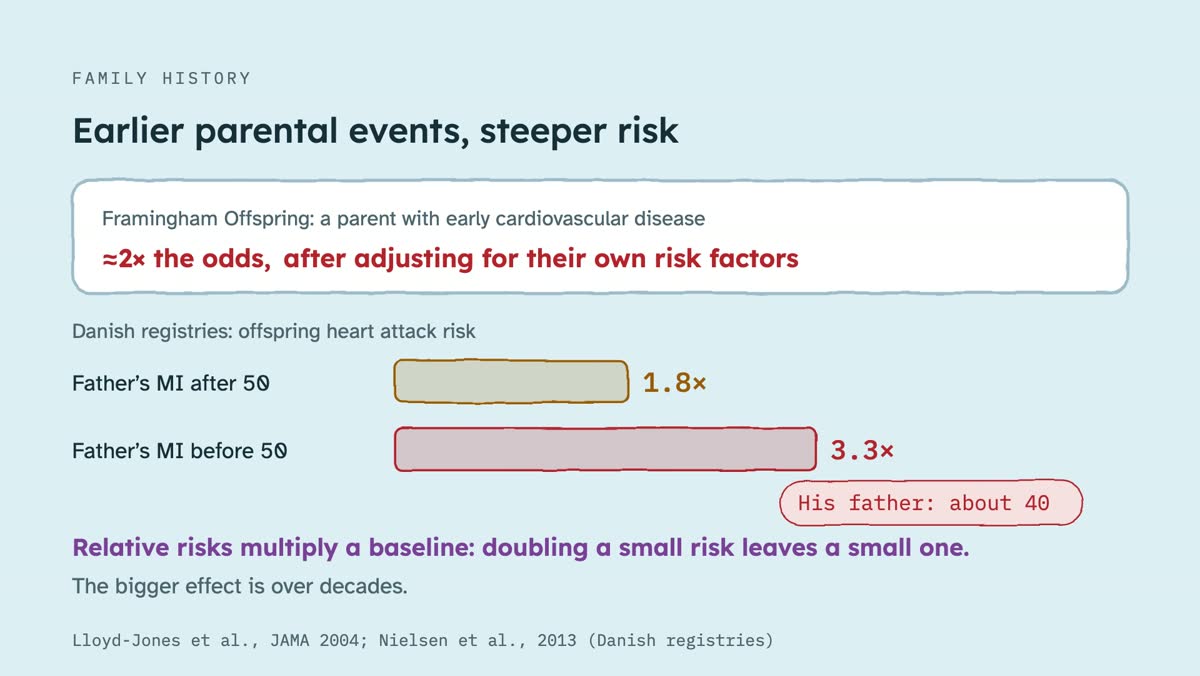 From the video: FAMILY HISTORY, Earlier parental events, steeper risk, Framingham Offspring: a parent with early cardiovascular disease, ≈2× the odds, after adjusting for their own risk factors, Danish registries: offspring heart attack risk, Father’s MI after 50, 1.8×, Father’s MI before 50, 3.3×, His father: about 40