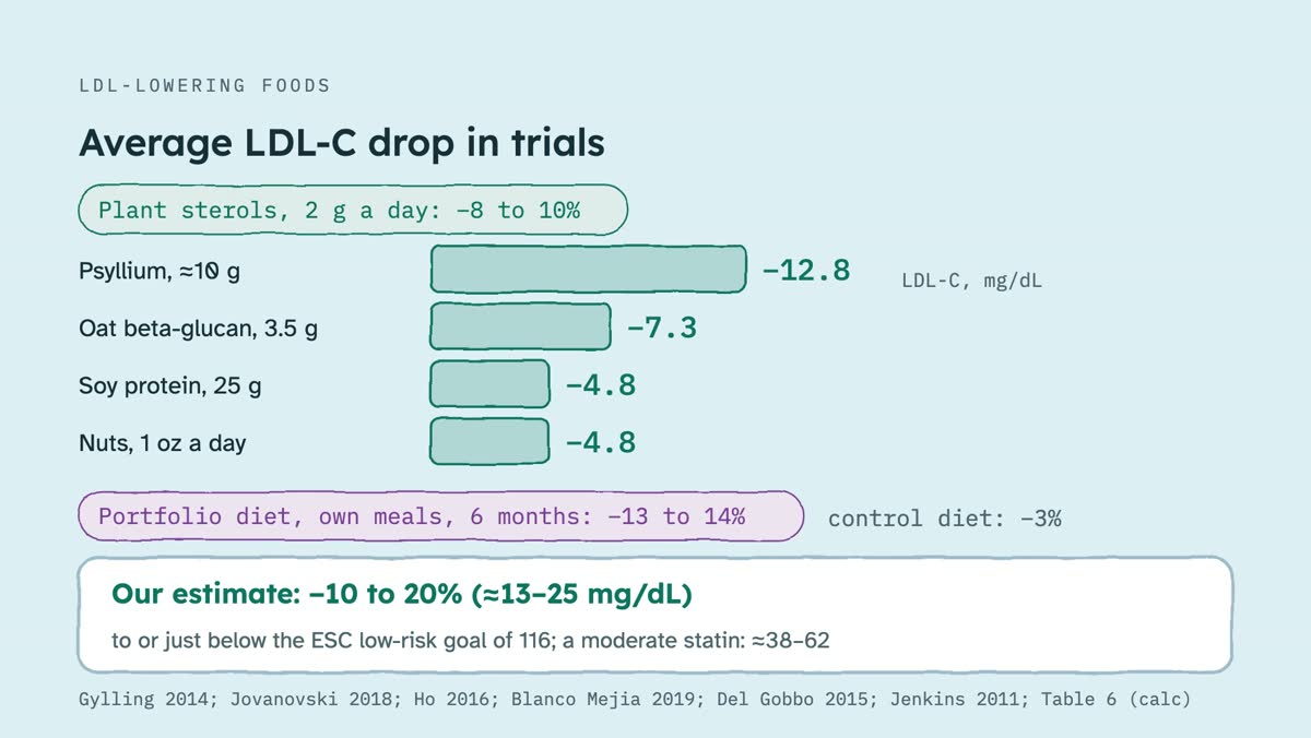 From the video: LDL-LOWERING FOODS, Average LDL-C drop in trials, Plant sterols, 2 g a day: −8 to 10%, Psyllium, ≈10 g, −12.8, Oat beta-glucan, 3.5 g, −7.3, Soy protein, 25 g, −4.8, Nuts, 1 oz a day, −4.8, LDL-C, mg/dL, Portfolio diet, own meals, 6 months: −13 to 14% (control: −3%), Our estimate: −10 to 20% (≈13–25 mg/