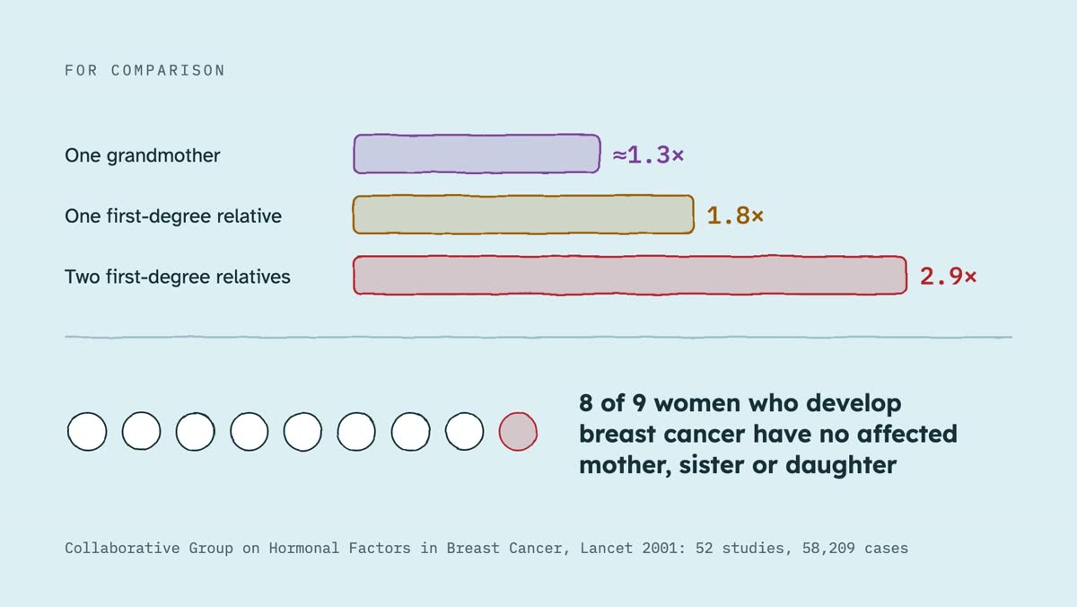 From the video: FOR COMPARISON, One grandmother, ≈1.3×, One first-degree relative, 1.8×, Two first-degree relatives, 2.9×, 8 of 9 women who develop, breast cancer have no affected, mother, sister or daughter, Collaborative Group on Hormonal Factors in Breast Cancer, Lancet 2001: 52 studies, 58,209 cases