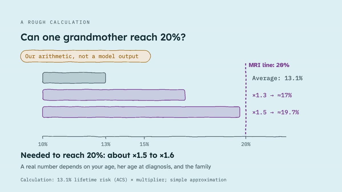From the video: A ROUGH CALCULATION, Can one grandmother reach 20%?, Our arithmetic, not a model output, 10%, 13%, 15%, 20%, MRI line: 20%, Average: 13.1%, ×1.3 → ≈17%, ×1.5 → ≈19.7%, Needed to reach 20%: about ×1.5 to ×1.6, A real number depends on your age, her age at diagnosis, and the family, Calculation: 13.1% lif