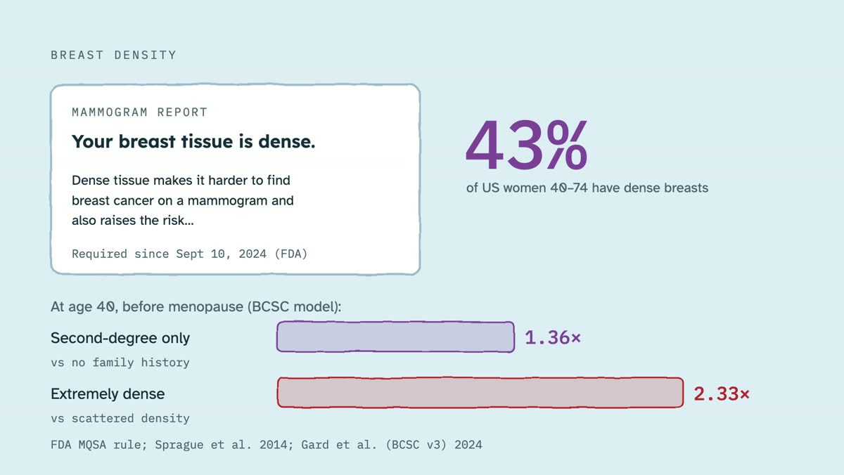 From the video: BREAST DENSITY, MAMMOGRAM REPORT, Your breast tissue is dense., Dense tissue makes it harder to find, breast cancer on a mammogram and, also raises the risk…, Required since Sept 10, 2024 (FDA), 43%, of US women 40–74 have dense breasts, At age 40, before menopause (BCSC model):, Second-degree only, 1.3