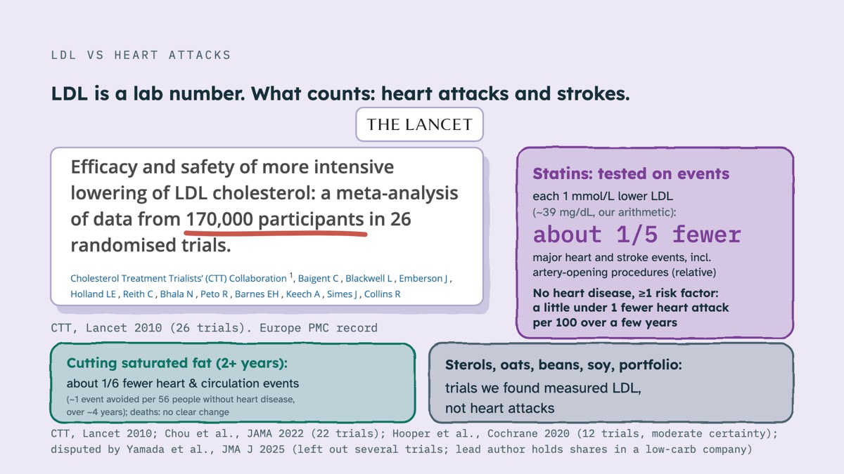 From the video: LDL VS HEART ATTACKS, LDL is a lab number. What counts: heart attacks and strokes., CTT, Lancet 2010 (26 trials). Europe PMC record, Statins: tested on events, each 1 mmol/L lower LDL, (~39 mg/dL, our arithmetic):, about 1/5 fewer, major heart and stroke events, incl., artery-opening procedures (relativ