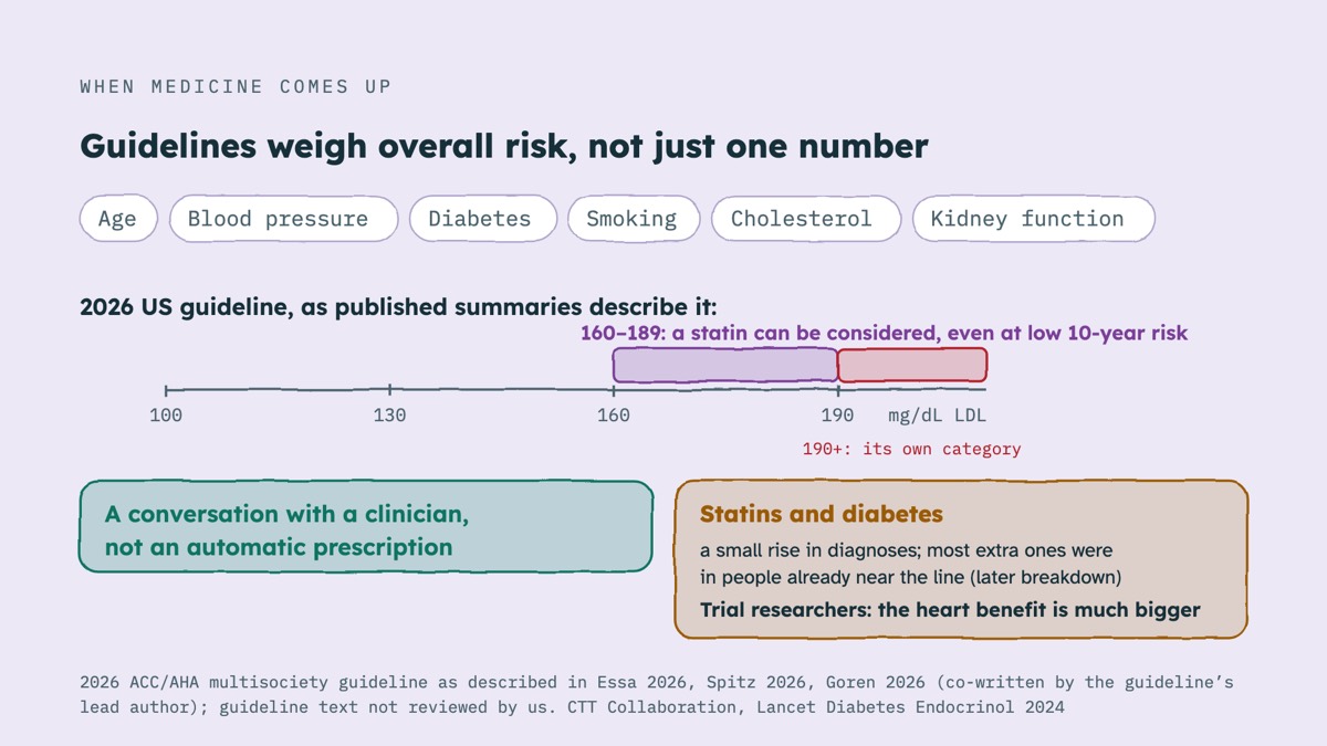 From the video: WHEN MEDICINE COMES UP, Guidelines weigh overall risk, not just one number, Age, Blood pressure, Diabetes, Smoking, Cholesterol, Kidney function, 2026 US guideline, as published summaries describe it:, 100, 130, 160, 190, mg/dL LDL