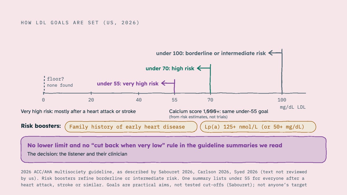 From the video: HOW LDL GOALS ARE SET (US, 2026), 0, 20, 40, 55, 70, 100, mg/dL LDL, under 100: borderline or intermediate risk, under 70: high risk, under 55: very high risk, floor?, none found, Very high risk: mostly after a heart attack or stroke