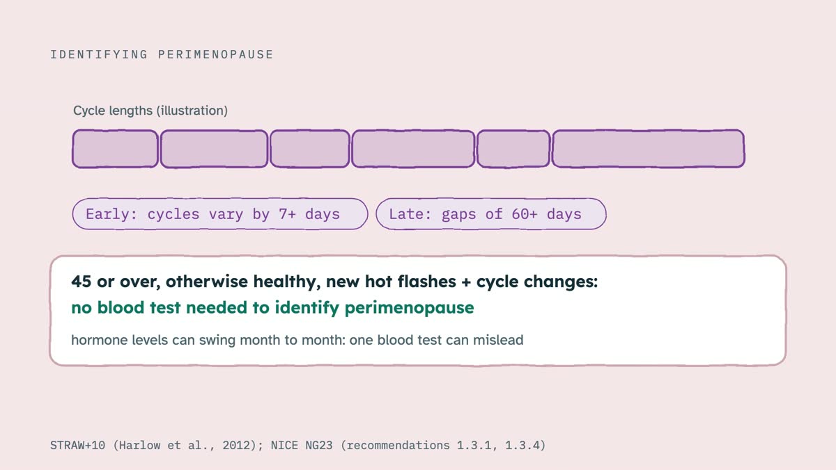 From the video: IDENTIFYING PERIMENOPAUSE, Cycle lengths (illustration), Early: cycles vary by 7+ days, Late: gaps of 60+ days, 45 or over, otherwise healthy, new hot flashes + cycle changes:, no blood test needed to identify perimenopause, hormone levels can swing month to month: one blood test can mislead, STRAW+10 (