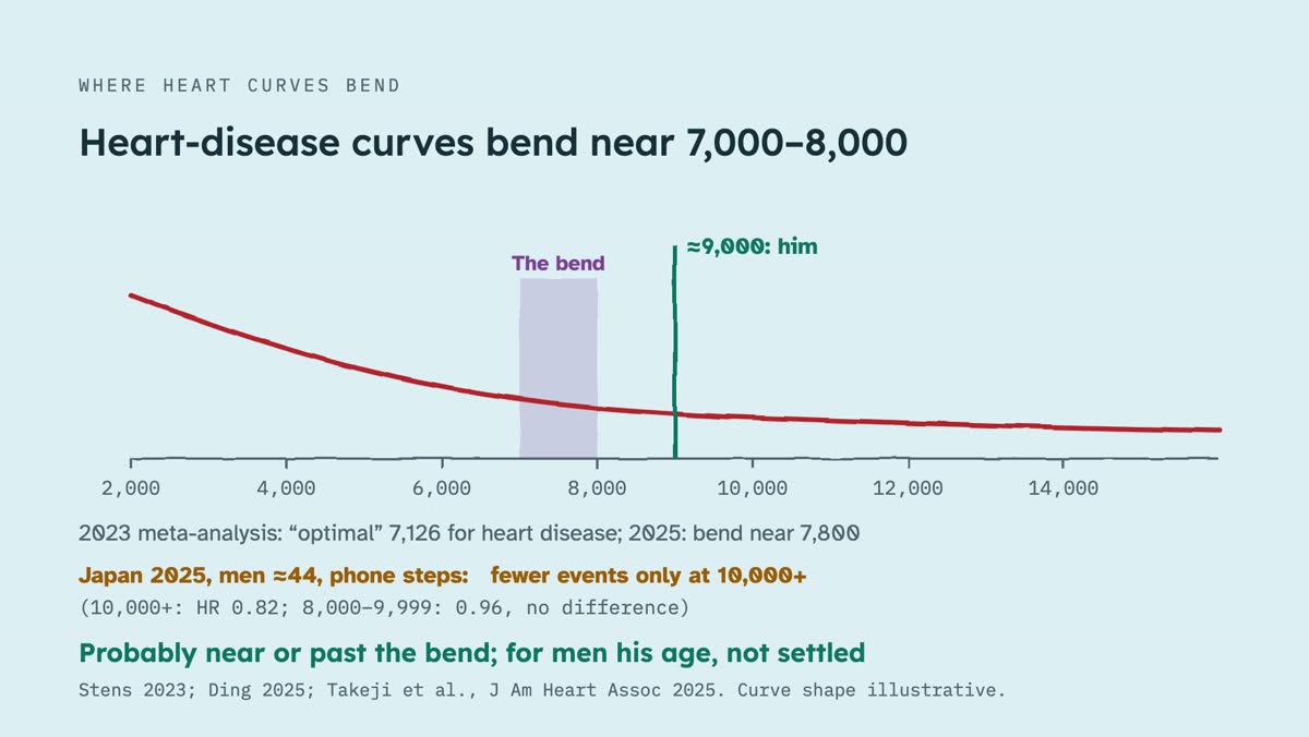 From the video: WHERE HEART CURVES BEND, Heart-disease curves bend near 7,000–8,000, 2,000, 4,000, 6,000, 8,000, 10,000, 12,000, 14,000, The bend, ≈9,000: him, 2023 meta-analysis: “optimal” 7,126 for heart disease; 2025: bend near 7,800, Japan 2025, men ≈44, phone steps:, fewer events only at 10,000+