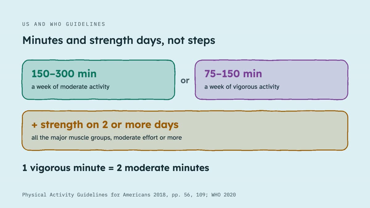 From the video: US AND WHO GUIDELINES, Minutes and strength days, not steps, 150–300 min, a week of moderate activity, or, 75–150 min, a week of vigorous activity, + strength on 2 or more days, all the major muscle groups, moderate effort or more, 1 vigorous minute = 2 moderate minutes, Physical Activity Guidelines for