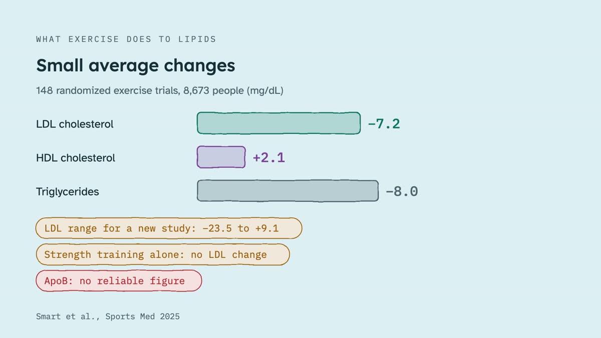 From the video: WHAT EXERCISE DOES TO LIPIDS, Small average changes, 148 randomized exercise trials, 8,673 people (mg/dL), LDL cholesterol, −7.2, HDL cholesterol, +2.1, Triglycerides, −8.0, LDL range for a new study: −23.5 to +9.1, Strength training alone: no LDL change, ApoB: no reliable figure, Smart et al., Sports M