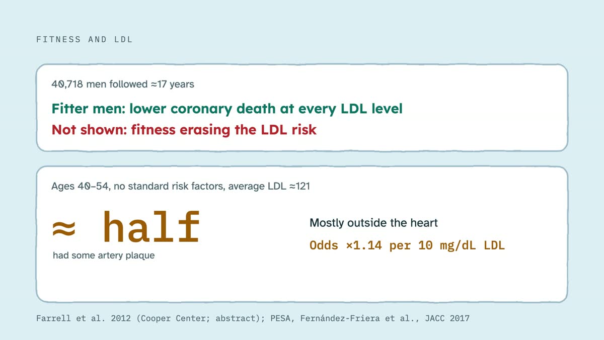 From the video: FITNESS AND LDL, 40,718 men followed ≈17 years, Fitter men: lower coronary death at every LDL level, Not shown: fitness erasing the LDL risk, Ages 40–54, no standard risk factors, average LDL ≈121, ≈ half, had some artery plaque, Mostly outside the heart, Odds ×1.14 per 10 mg/dL LDL, Farrell et al. 2012