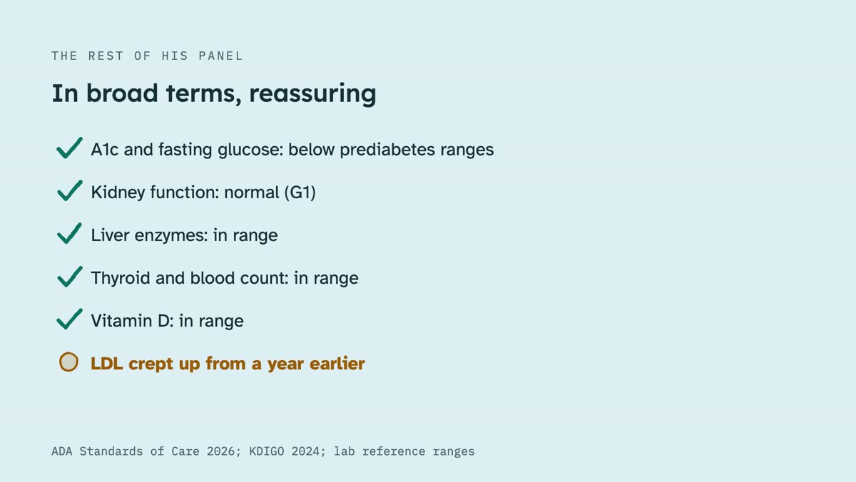 From the video: THE REST OF HIS PANEL, In broad terms, reassuring, A1c and fasting glucose: below prediabetes ranges, Kidney function: normal (G1), Liver enzymes: in range, Thyroid and blood count: in range, Vitamin D: in range, LDL crept up from a year earlier, ADA Standards of Care 2026; KDIGO 2024; lab reference ran