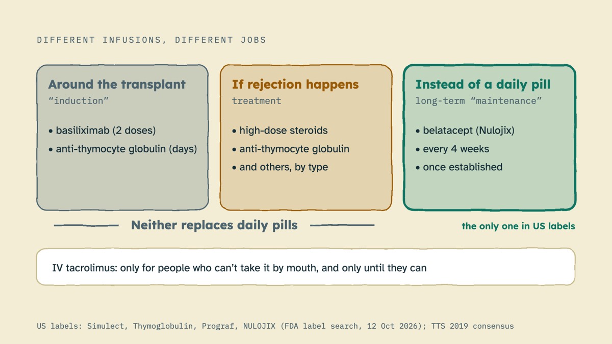 From the video: DIFFERENT INFUSIONS, DIFFERENT JOBS, Around the transplant, “induction”, • basiliximab (2 doses), • anti-thymocyte globulin (days), If rejection happens, treatment, • high-dose steroids, • anti-thymocyte globulin, • and others, by type, Instead of a daily pill, long-term “maintenance”, • belatacept (Nul