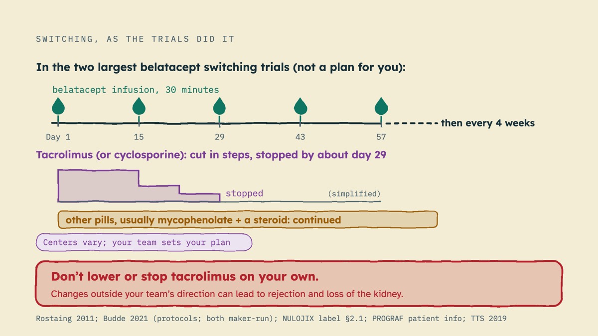 From the video: SWITCHING, AS THE TRIALS DID IT, In the two largest belatacept switching trials (not a plan for you):, Day 1, 15, 29, 43, 57, then every 4 weeks, belatacept infusion, 30 minutes, Tacrolimus (or cyclosporine): cut in steps, stopped by about day 29, stopped, (simplified), other pills, usually mycophenolat