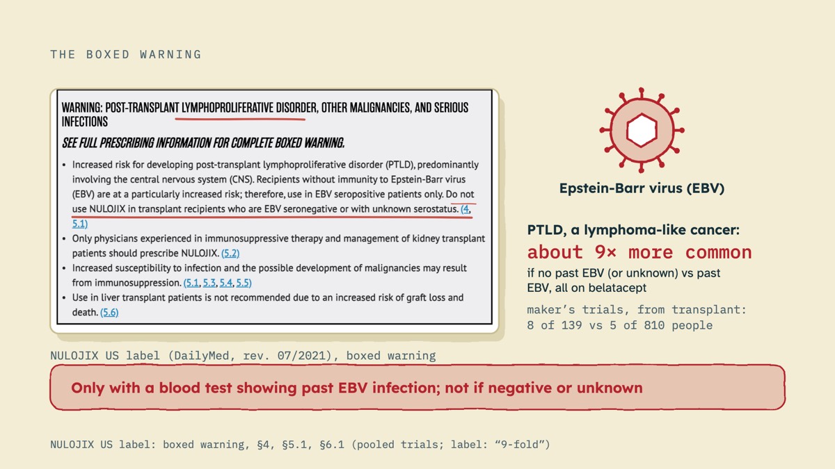 From the video: THE BOXED WARNING, NULOJIX US label (DailyMed, rev. 07/2021), boxed warning, Epstein-Barr virus (EBV), PTLD, a lymphoma-like cancer:, about 9× more common, if no past EBV (or unknown) vs past, EBV, all on belatacept, maker’s trials, from transplant:, 8 of 139 vs 5 of 810 people, Only with a blood test s
