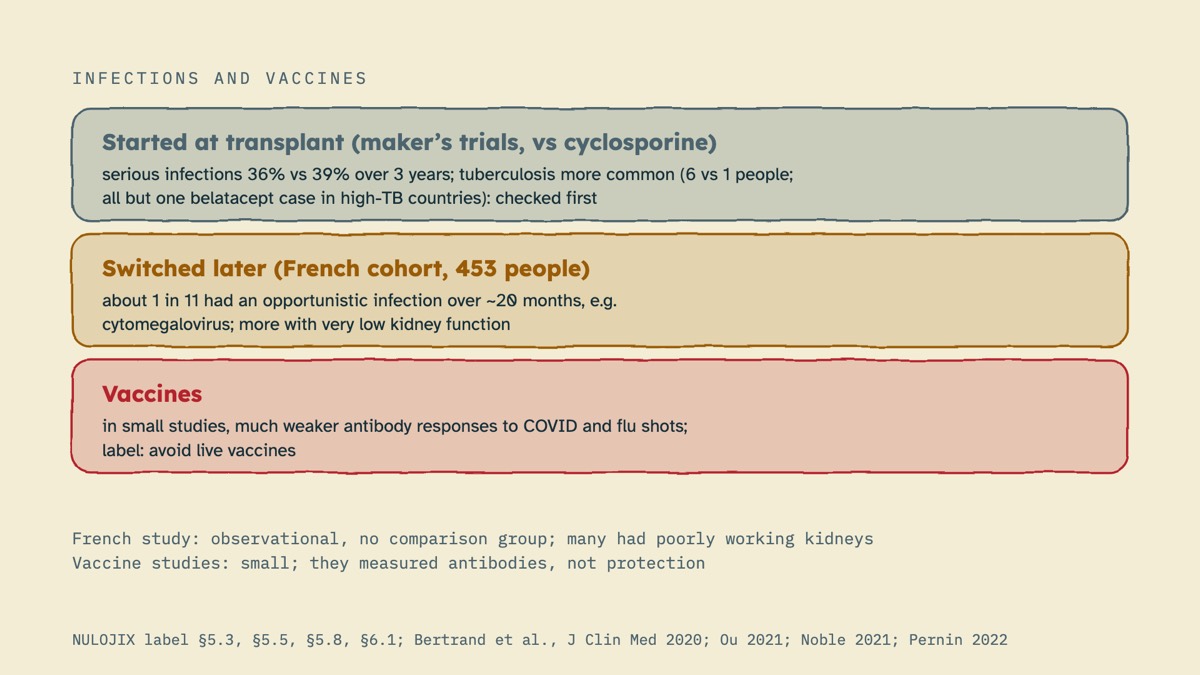 From the video: INFECTIONS AND VACCINES, Started at transplant (maker’s trials, vs cyclosporine), serious infections 36% vs 39% over 3 years; tuberculosis more common (6 vs 1 people;, all but one belatacept case in high-TB countries): checked first, Switched later (French cohort, 453 people), about 1 in 11 had an oppor