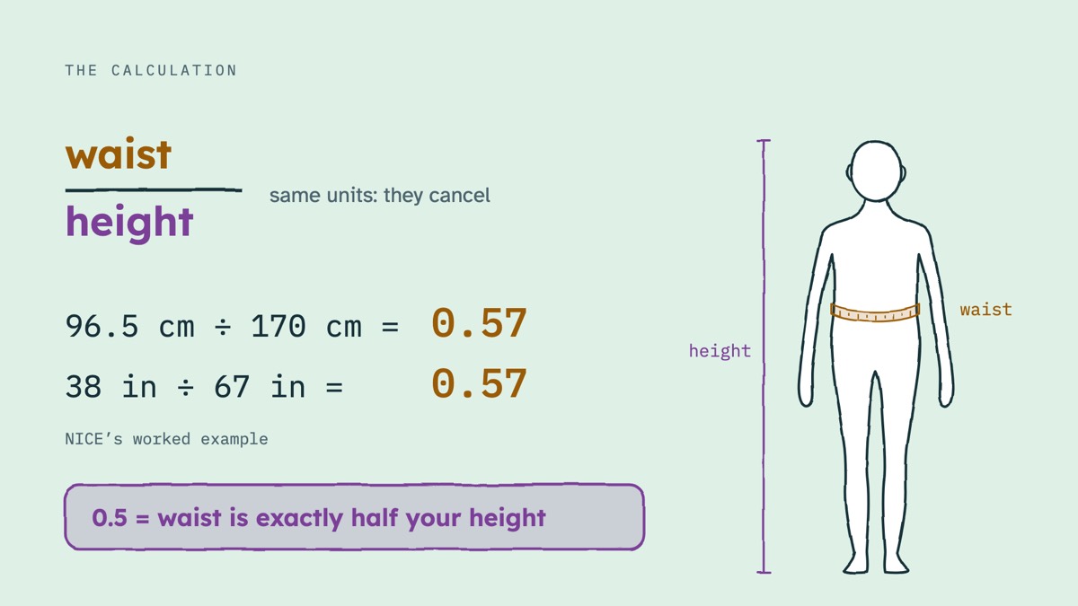 From the video: THE CALCULATION, waist, height, same units: they cancel, 96.5 cm ÷ 170 cm =, 0.57, 38 in ÷ 67 in =, 0.57, NICE’s worked example, 0.5 = waist is exactly half your height, waist, height