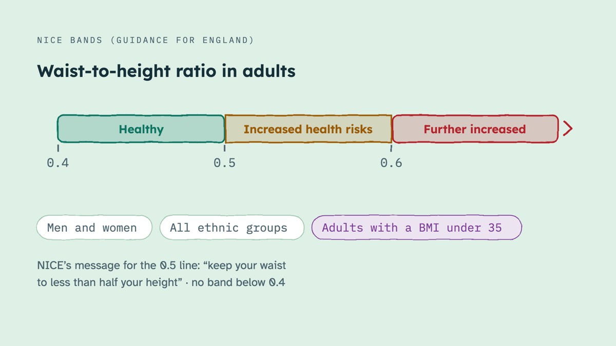 From the video: NICE BANDS (GUIDANCE FOR ENGLAND), Waist-to-height ratio in adults, Healthy, Increased health risks, Further increased, 0.4, 0.5, 0.6, Men and women, All ethnic groups, Adults with a BMI under 35, NICE’s message for the 0.5 line: “keep your waist, to less than half your height” · no band below 0.4