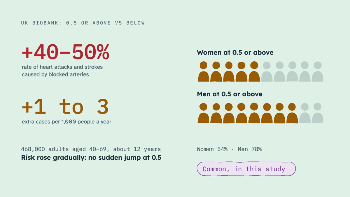 From the video: UK BIOBANK: 0.5 OR ABOVE VS BELOW, +40–50%, rate of heart attacks and strokes, caused by blocked arteries, +1 to 3, extra cases per 1,000 people a year, 468,000 adults aged 40–69, about 12 years, Risk rose gradually: no sudden jump at 0.5, Women at 0.5 or above, Men at 0.5 or above, Women 54% · Men 78%,