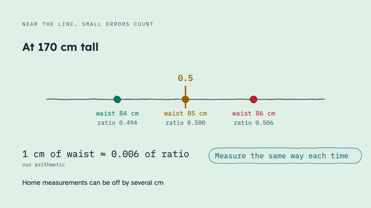 From the video: NEAR THE LINE, SMALL ERRORS COUNT, At 170 cm tall, 0.5, waist 84 cm, ratio 0.494, waist 85 cm, ratio 0.500, waist 86 cm, ratio 0.506, 1 cm of waist ≈ 0.006 of ratio, our arithmetic, Home measurements can be off by several cm, Measure the same way each time