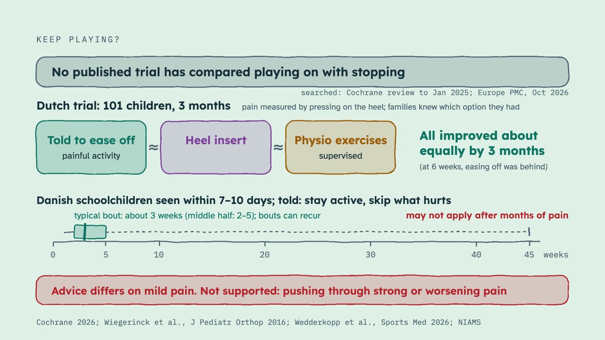 From the video: KEEP PLAYING?, No published trial has compared playing on with stopping, searched: Cochrane review to Jan 2025; Europe PMC, Oct 2026, Dutch trial: 101 children, 3 months, pain measured by pressing on the heel; families knew which option they had, Told to ease off, painful activity, ≈, Heel insert, ≈, Ph