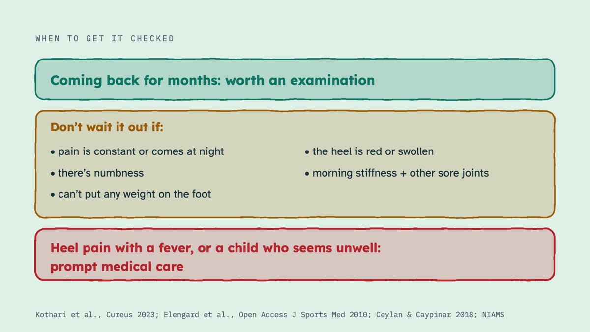 From the video: WHEN TO GET IT CHECKED, Coming back for months: worth an examination, Don’t wait it out if:, • pain is constant or comes at night, • the heel is red or swollen, • there’s numbness, • morning stiffness + other sore joints, • can’t put any weight on the foot, Heel pain with a fever, or a child who seems u