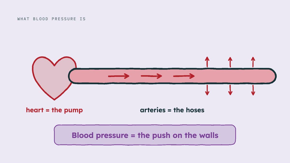 From the video: WHAT BLOOD PRESSURE IS, heart = the pump, arteries = the hoses, Blood pressure = the push on the walls