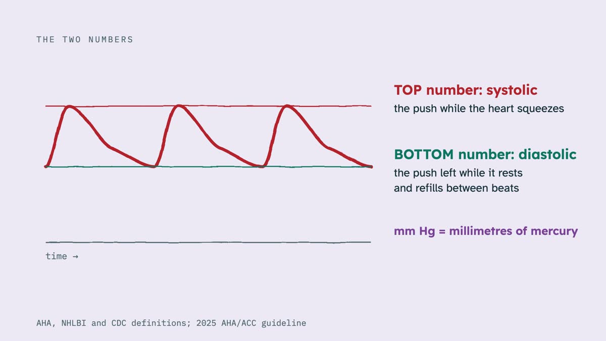 From the video: THE TWO NUMBERS, time →, TOP number: systolic, the push while the heart squeezes, BOTTOM number: diastolic, the push left while it rests, and refills between beats, mm Hg = millimetres of mercury, AHA, NHLBI and CDC definitions; 2025 AHA/ACC guideline