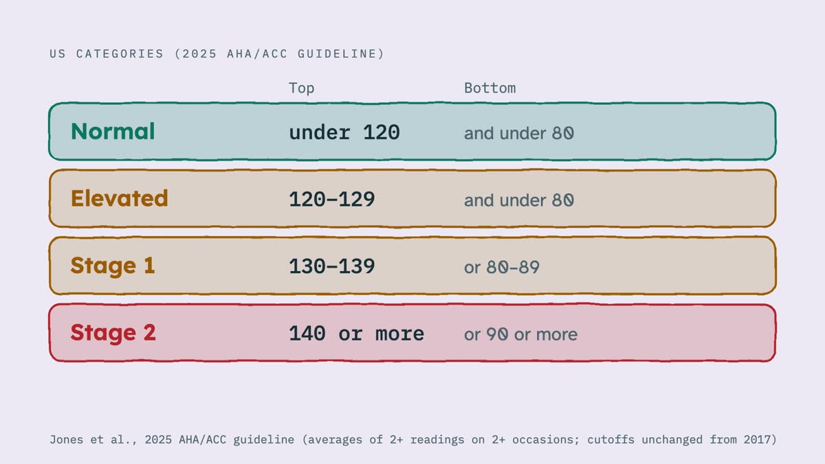 From the video: US CATEGORIES (2025 AHA/ACC GUIDELINE), Top, Bottom, Normal, under 120, and under 80, Elevated, 120–129, and under 80, Stage 1, 130–139, or 80–89, Stage 2, 140 or more