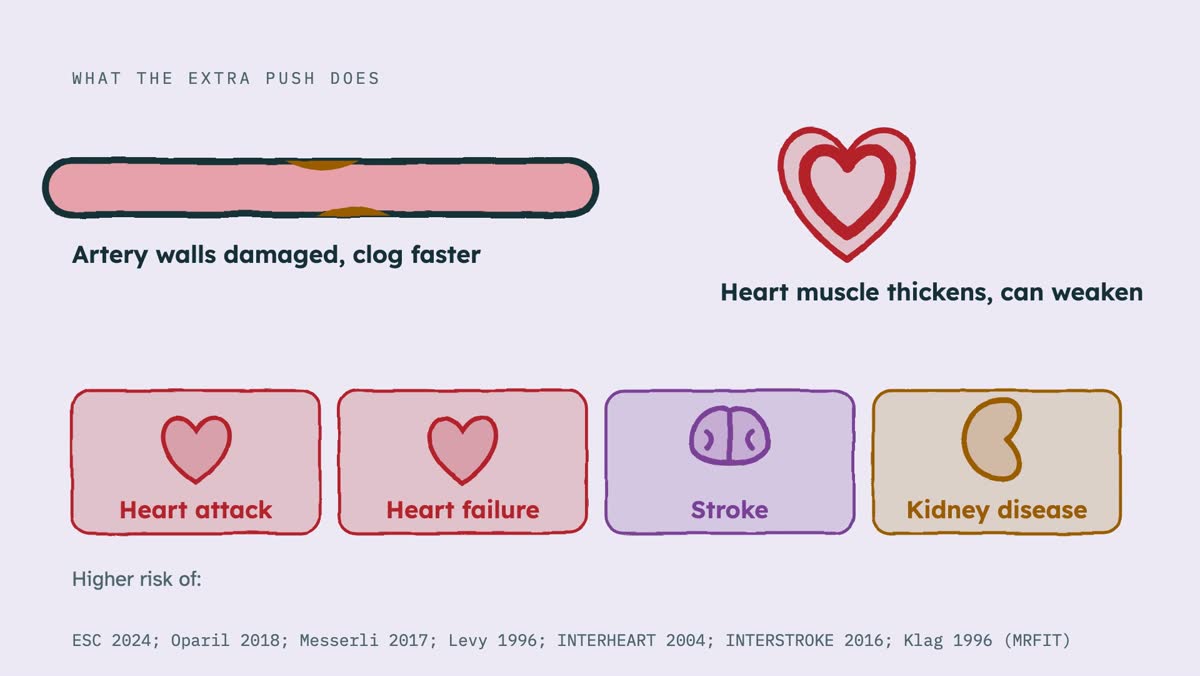 From the video: WHAT THE EXTRA PUSH DOES, Artery walls damaged, clog faster, Heart muscle thickens, can weaken, Heart attack, Heart failure, Stroke, Kidney disease, Higher risk of:, ESC 2024; Oparil 2018; Messerli 2017; Levy 1996; INTERHEART 2004; INTERSTROKE 2016; Klag 1996 (MRFIT)