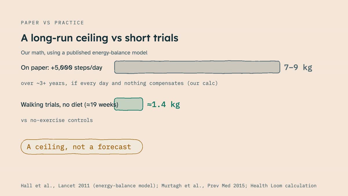 From the video: PAPER VS PRACTICE, A long-run ceiling vs short trials, On paper: +5,000 steps/day, 7–9 kg, over ~3+ years, if every day and nothing compensates (our calc), Walking trials, no diet (≈19 weeks), ≈1.4 kg, vs no-exercise controls, A ceiling, not a forecast, Hall et al., Lancet 2011 (energy-balance model); M