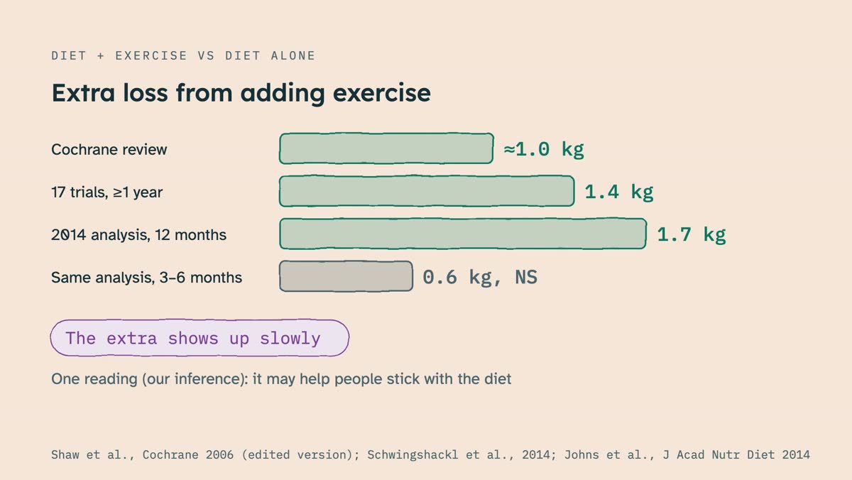 From the video: DIET + EXERCISE VS DIET ALONE, Extra loss from adding exercise, Cochrane review, ≈1.0 kg, 17 trials, ≥1 year, 1.4 kg, 2014 analysis, 12 months, 1.7 kg, Same analysis, 3–6 months, 0.6 kg, NS, The extra shows up slowly, One reading (our inference): it may help people stick with the diet, Shaw et al., Coch