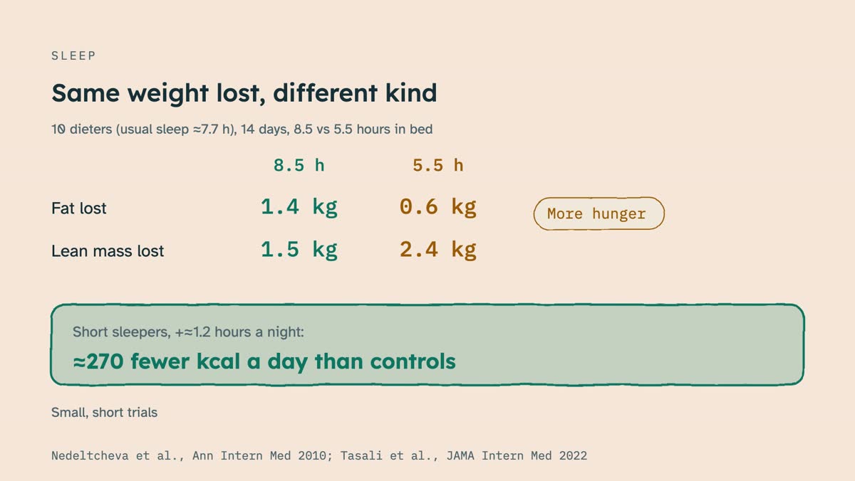 From the video: SLEEP, Same weight lost, different kind, 10 dieters (usual sleep ≈7.7 h), 14 days, 8.5 vs 5.5 hours in bed, 8.5 h, 5.5 h, Fat lost, 1.4 kg, 0.6 kg, Lean mass lost, 1.5 kg, 2.4 kg, More hunger, Short sleepers, +≈1.2 hours a night:, ≈270 fewer kcal a day than controls