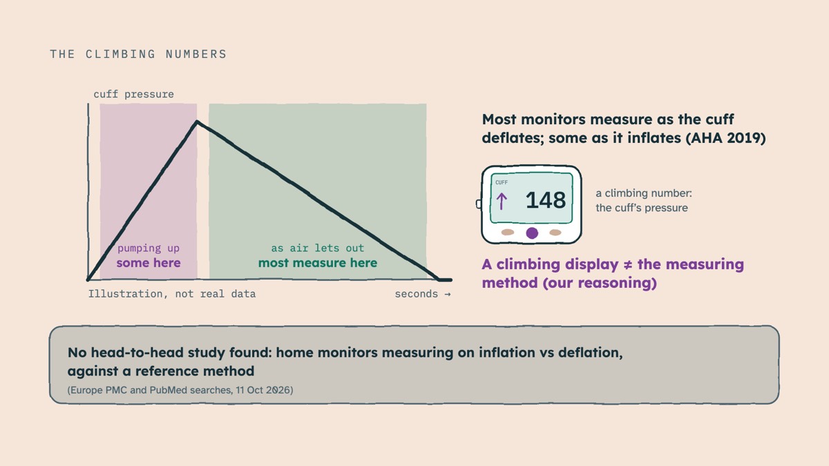 From the video: THE CLIMBING NUMBERS, cuff pressure, seconds →, most measure here, as air lets out, some here, pumping up, Illustration, not real data, Most monitors measure as the cuff, deflates; some as it inflates (AHA 2019), CUFF, 148, a climbing number:, the cuff’s pressure