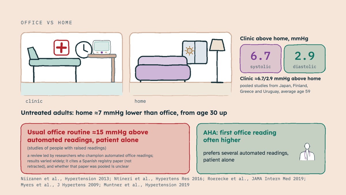From the video: OFFICE VS HOME, clinic, home, Clinic above home, mmHg, 6.7, systolic, 2.9, diastolic, Clinic ≈6.7/2.9 mmHg above home, pooled studies from Japan, Finland,, Greece and Uruguay, average age 59, Untreated adults:, home ≈7 mmHg lower than office,, from age 30 up