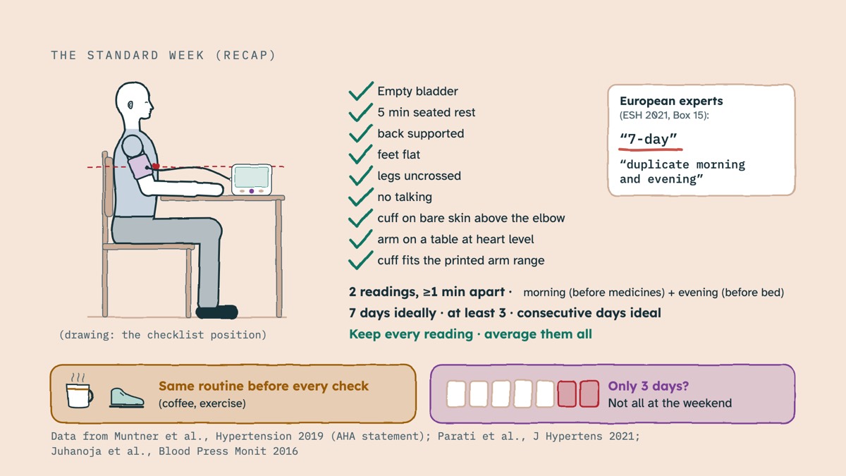 From the video: THE STANDARD WEEK (RECAP), (drawing: the checklist position), Empty bladder, 5 min seated rest, back supported, feet flat, legs uncrossed, no talking, cuff on bare skin above the elbow, arm on a table at heart level, cuff fits the printed arm range, 2 readings, ≥1 min apart ·, morning (before medicines)
