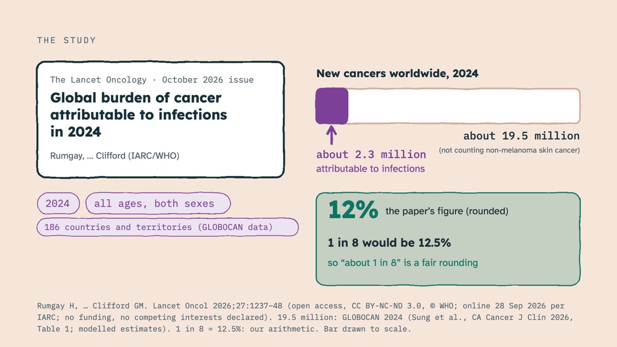 From the video: THE STUDY, The Lancet Oncology · October 2026 issue, Global burden of cancer, attributable to infections, in 2024, Rumgay, … Clifford (IARC/WHO), 2024, all ages, both sexes, 186 countries and territories (GLOBOCAN data), New cancers worldwide, 2024, about 19.5 million, (not counting non-melanoma skin ca