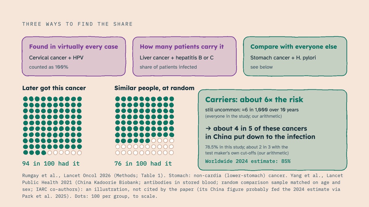 From the video: THREE WAYS TO FIND THE SHARE, Found in virtually every case, Cervical cancer + HPV, counted as 100%, How many patients carry it, Liver cancer + hepatitis B or C, share of patients infected, Compare with everyone else, Stomach cancer + H. pylori, see below, Later got this cancer, 94 in 100 had it, Simila
