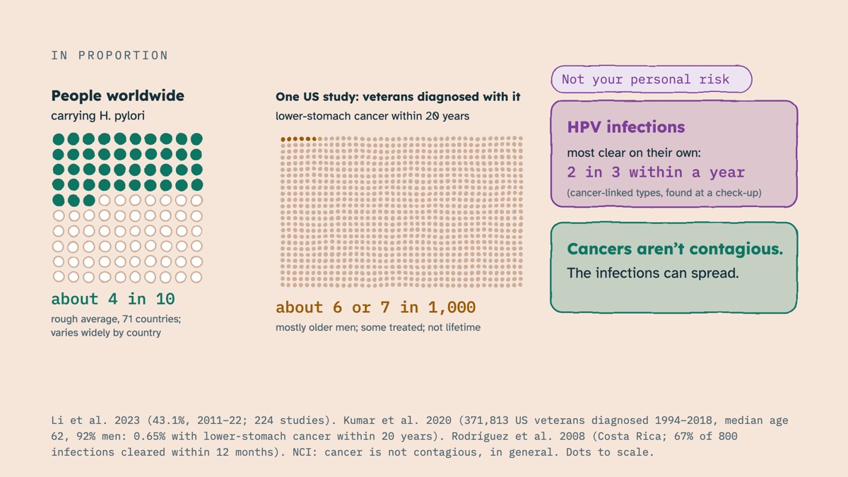 From the video: IN PROPORTION, Not your personal risk, People worldwide, carrying H. pylori, about 4 in 10, rough average, 71 countries;, varies widely by country, One US study: veterans diagnosed with it, lower-stomach cancer within 20 years, about 6 or 7 in 1,000, mostly older men; some treated; not lifetime, HPV inf