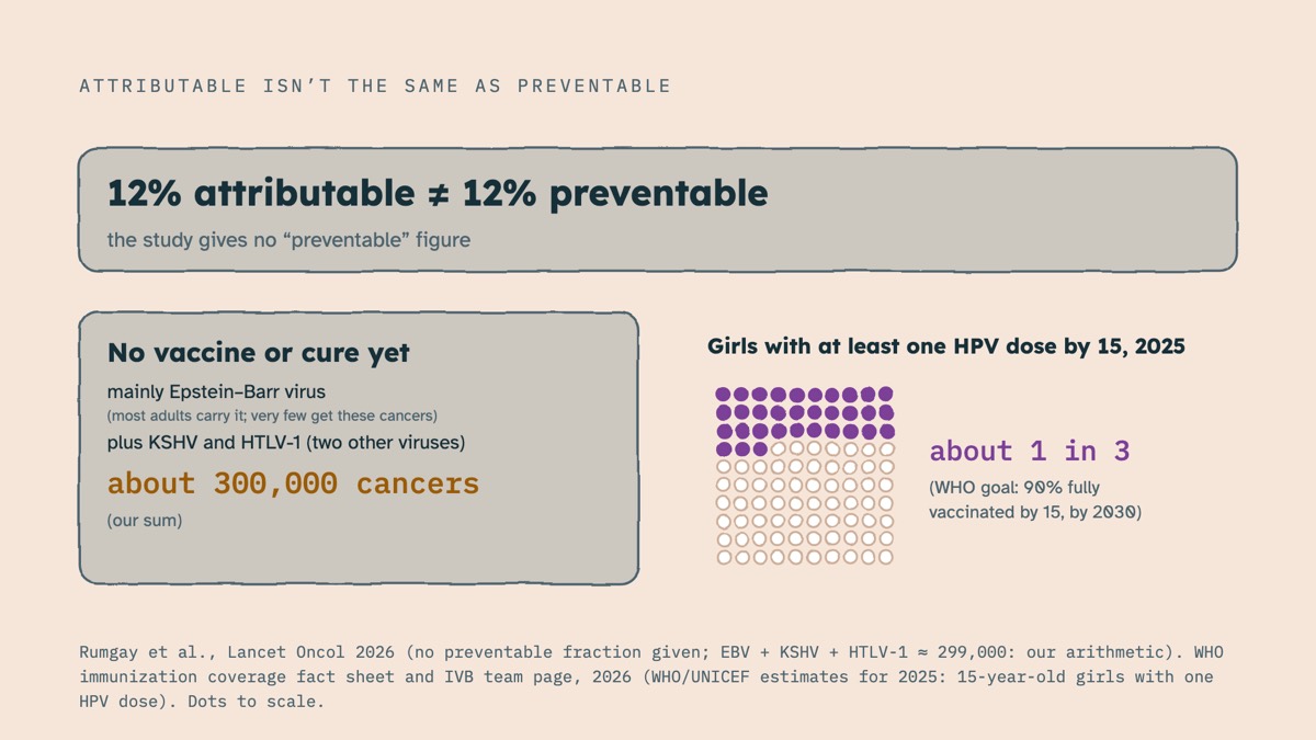 From the video: ATTRIBUTABLE ISN’T THE SAME AS PREVENTABLE, 12% attributable  ≠  12% preventable, the study gives no “preventable” figure, No vaccine or cure yet, mainly Epstein–Barr virus, (most adults carry it; very few get these cancers), plus KSHV and HTLV-1 (two other viruses), about 300,000 cancers, (our sum), Gi