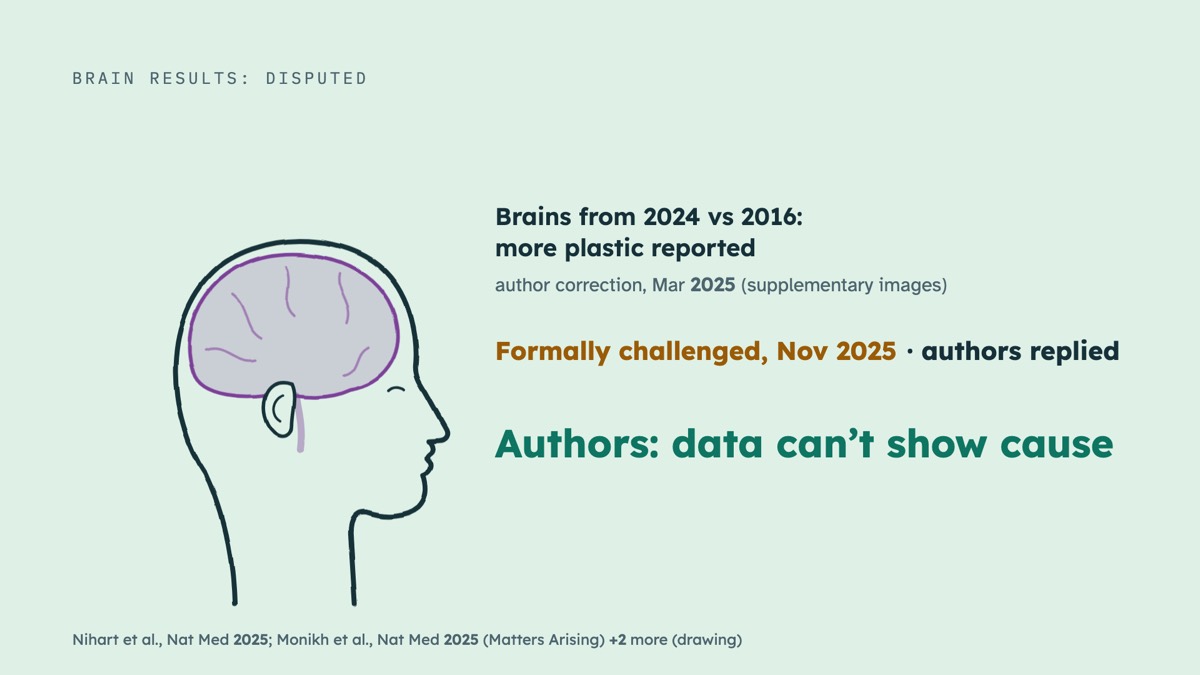 From the video: BRAIN RESULTS: DISPUTED, Brains from 2024 vs 2016:, more plastic reported, author correction, Mar 2025 (supplementary images), Formally challenged, Nov 2025, · authors replied, Authors: data can’t show cause, Nihart et al., Nat Med 2025; Monikh et al., Nat Med 2025 (Matters Arising) +2 more (drawing)