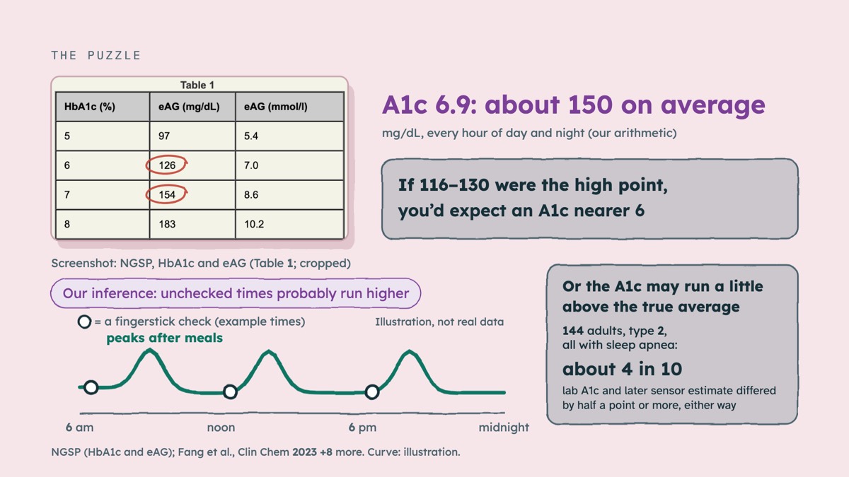 From the video: THE PUZZLE, Screenshot: NGSP, HbA1c and eAG (Table 1; cropped), A1c 6.9: about 150 on average, mg/dL, every hour of day and night (our arithmetic), If 116–130 were the high point,, you’d expect an A1c nearer 6, 6 am, noon, 6 pm, midnight, peaks after meals, = a fingerstick check (example times), Illustr