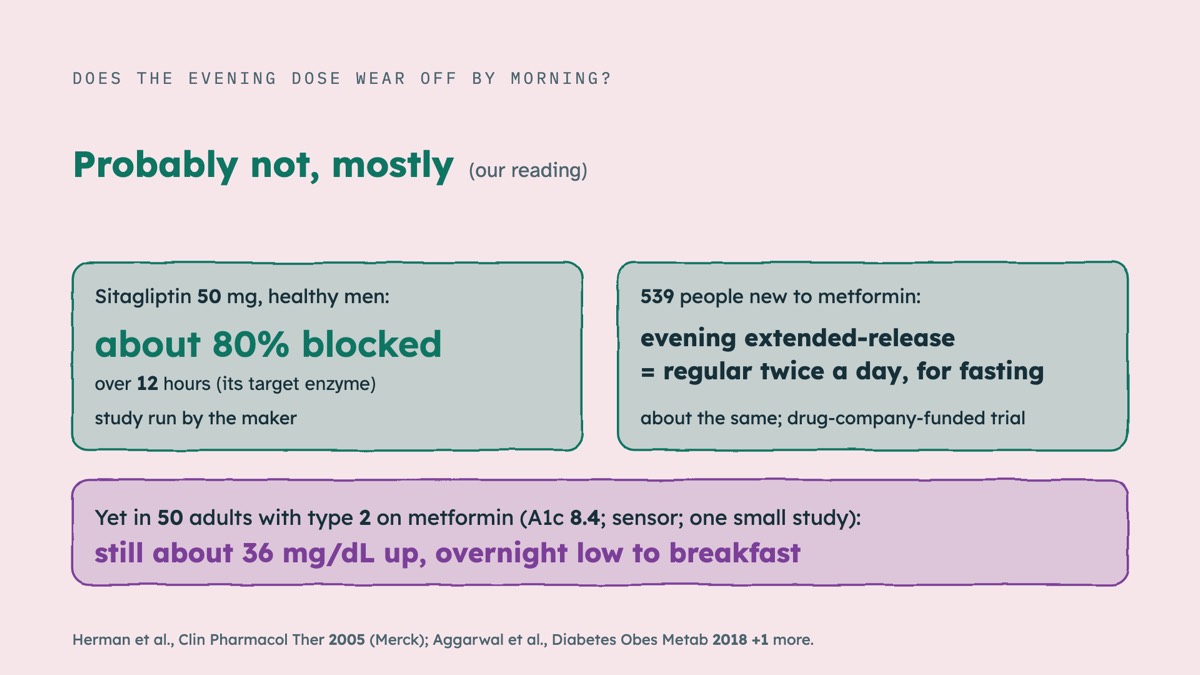 From the video: DOES THE EVENING DOSE WEAR OFF BY MORNING?, Probably not, mostly, (our reading), Sitagliptin 50 mg, healthy men:, about 80% blocked, over 12 hours (its target enzyme), study run by the maker, 539 people new to metformin:, evening extended-release, = regular twice a day, for fasting, about the same; drug