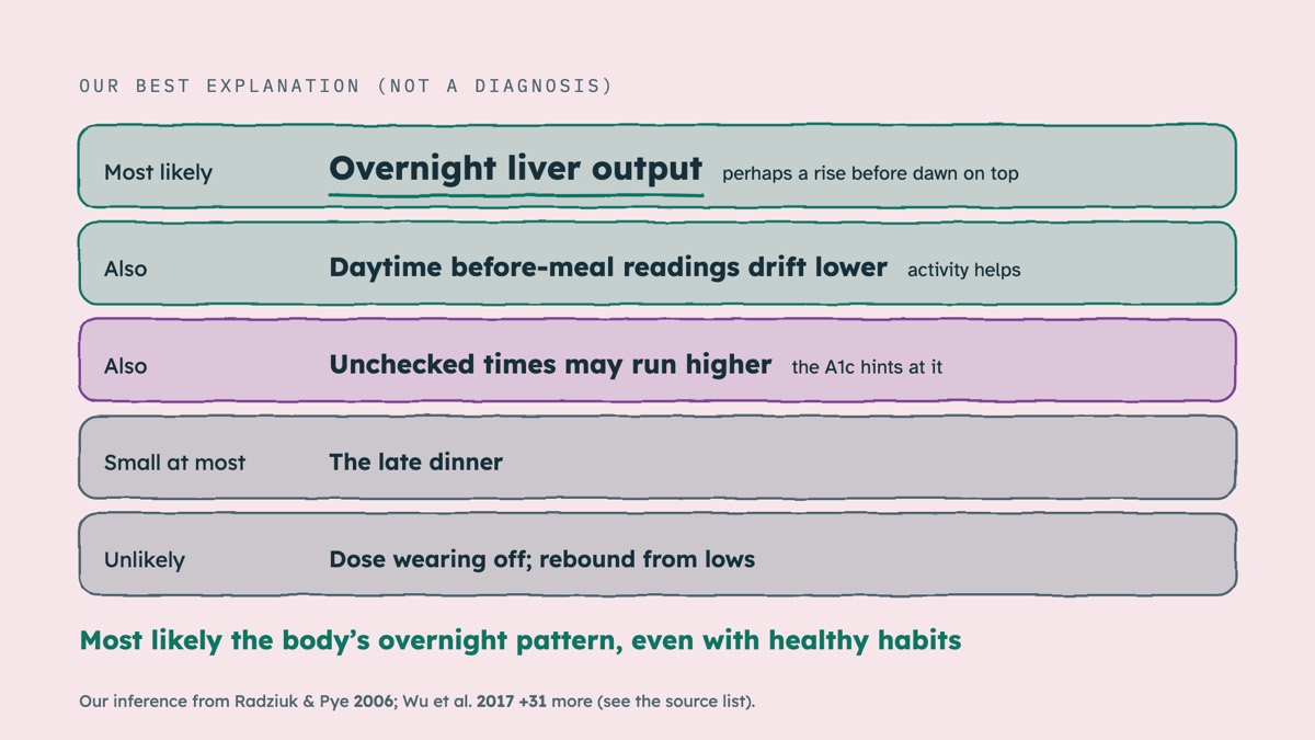 From the video: OUR BEST EXPLANATION (NOT A DIAGNOSIS), Most likely, Overnight liver output, perhaps a rise before dawn on top, Also, Daytime before-meal readings drift lower, activity helps, Also, Unchecked times may run higher, the A1c hints at it, Small at most, The late dinner, Unlikely, Dose wearing off; rebound f