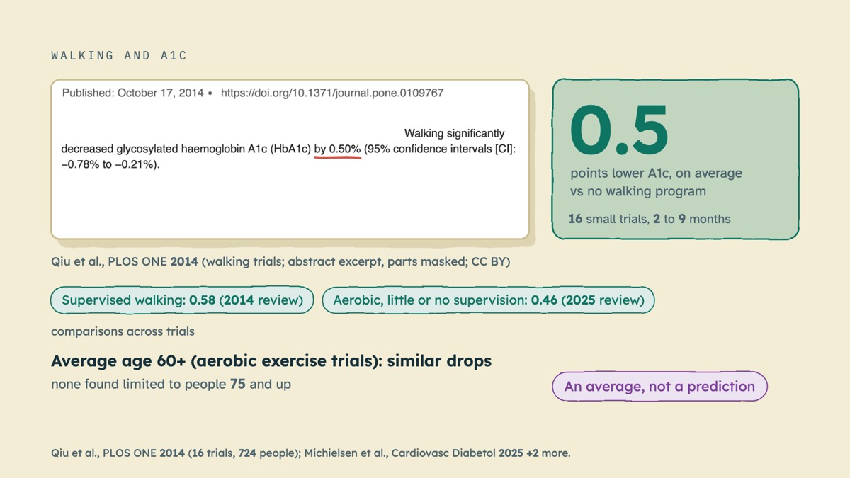 From the video: WALKING AND A1C, Qiu et al., PLOS ONE 2014 (walking trials; abstract excerpt, parts masked; CC BY), 0.5, points lower A1c, on average, vs no walking program, 16 small trials, 2 to 9 months, Supervised walking: 0.58 (2014 review), Aerobic, little or no supervision: 0.46 (2025 review), comparisons across 
