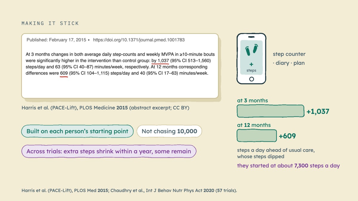 From the video: MAKING IT STICK, Harris et al. (PACE-Lift), PLOS Medicine 2015 (abstract excerpt; CC BY), +, steps, step counter, · diary · plan, at 3 months, +1,037, at 12 months, +609, steps a day ahead of usual care,, whose steps dipped, they started at about 7,300 steps a day, Built on each person’s starting point