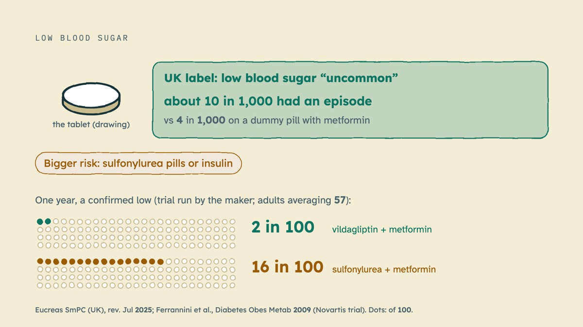 From the video: LOW BLOOD SUGAR, the tablet (drawing), UK label: low blood sugar “uncommon”, about 10 in 1,000 had an episode, vs 4 in 1,000 on a dummy pill with metformin, Bigger risk: sulfonylurea pills or insulin, One year, a confirmed low (trial run by the maker; adults averaging 57):, 2 in 100, vildagliptin + metf