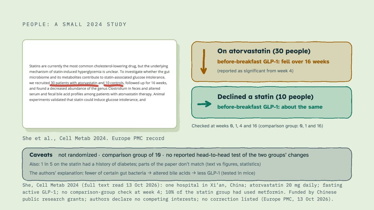 From the video: PEOPLE: A SMALL 2024 STUDY, She et al., Cell Metab 2024. Europe PMC record, On atorvastatin (30 people), before-breakfast GLP-1: fell over 16 weeks, (reported as significant from week 4), Declined a statin (10 people), before-breakfast GLP-1: about the same, Checked at weeks 0, 1, 4 and 16 (comparison g