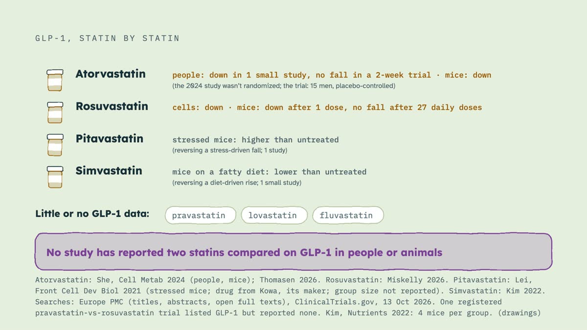 From the video: GLP-1, STATIN BY STATIN, Atorvastatin, people: down in 1 small study, no fall in a 2-week trial · mice: down, Rosuvastatin, cells: down · mice: down after 1 dose, no fall after 27 daily doses, Pitavastatin, stressed mice: higher than untreated, Simvastatin, mice on a fatty diet: lower than untreated, (t