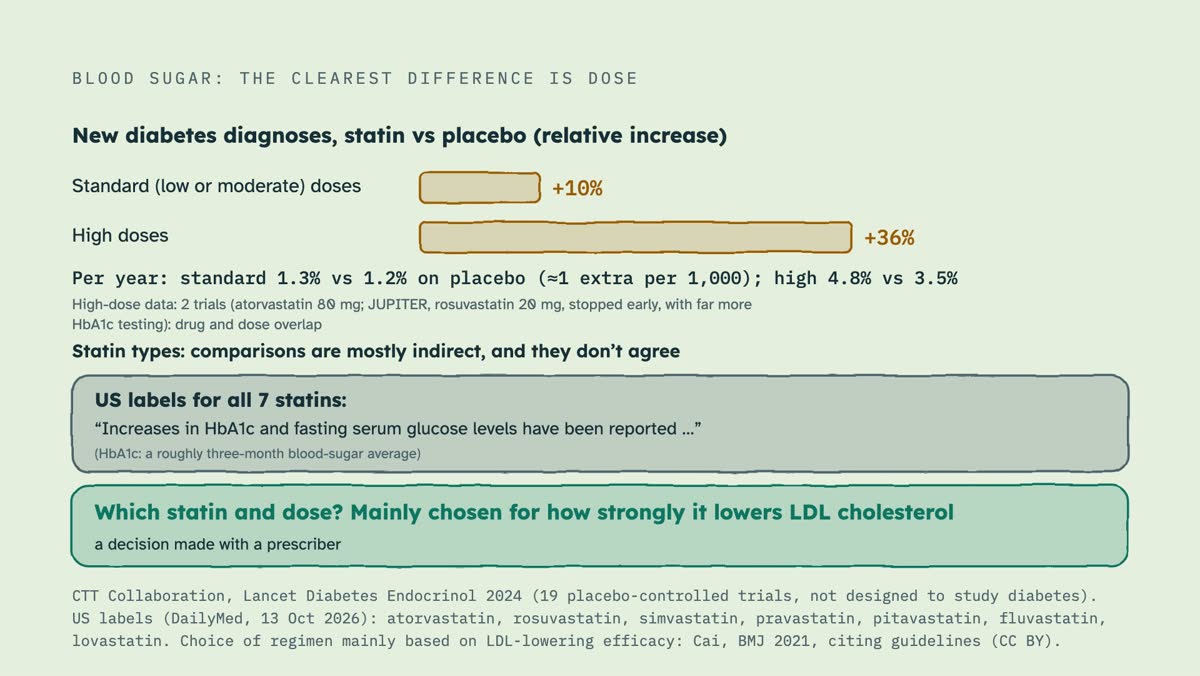 From the video: BLOOD SUGAR: THE CLEAREST DIFFERENCE IS DOSE, New diabetes diagnoses, statin vs placebo (relative increase), Standard (low or moderate) doses, +10%, High doses, +36%, Per year: standard 1.3% vs 1.2% on placebo (≈1 extra per 1,000); high 4.8% vs 3.5%, High-dose data: 2 trials (atorvastatin 80 mg; JUPITER